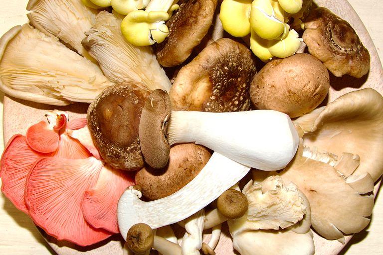 The Umami guide to our favorite mushrooms